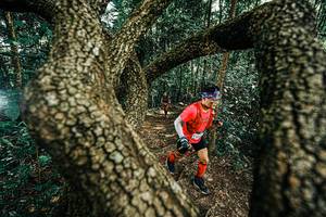 BIB: 
                            <button type="button" onclick="openModal(25392616)" class="btn btn-primary btn-sm float-right btn-popup" data-toggle="modal" data-target=".modal-high-quality">
                        <i class="fas fa-shopping-cart"></i> Add to Cart
                    </button>
                                            <button type="button" onclick="isThisMe(25392616, true)" class="btn btn-success btn-sm float-right btn-popup btn-isme hidden" data-toggle="tooltip" data-placement="bottom" title="นี่คือรูปของคุณใช่ไหม คลิกที่นี่เพื่อเอาเข้าอัลบั้ม">
                        <i class="fas fa-plus"></i> Add to album
                    </button>
                    <button type="button" onclick="isThisMe(25392616, false)" class="btn btn-warning btn-sm float-right btn-popup btn-isnotme hidden">
                        <i class="fas fa-ban"></i> Remove from album
                    </button>